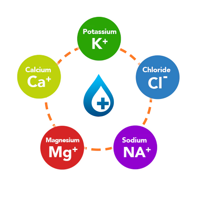 what are electrolytes?